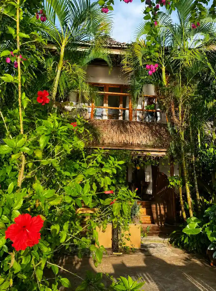 Tropical garden pathway through the property